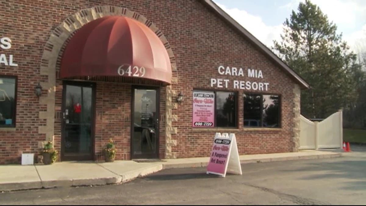 Cara Mia Pet Resort, Resort in East Amherst