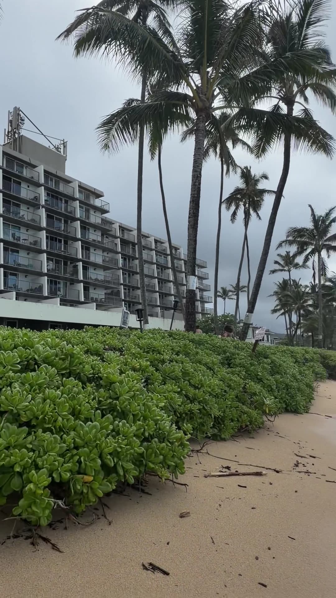 Historic Pats at Punalu'u, Hotel in Hauʻula-Punaluʻu
