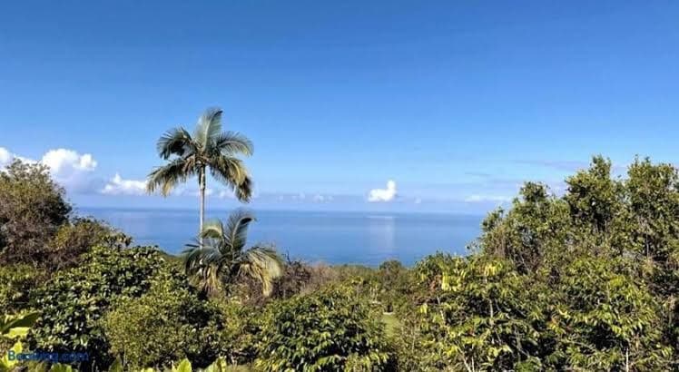 Kona Farm Stay, Ocean and Sunset Views - Entire Place, Holiday Home in Honalo