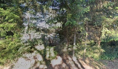Stormking resort and spa, Hotel in Spanaway
