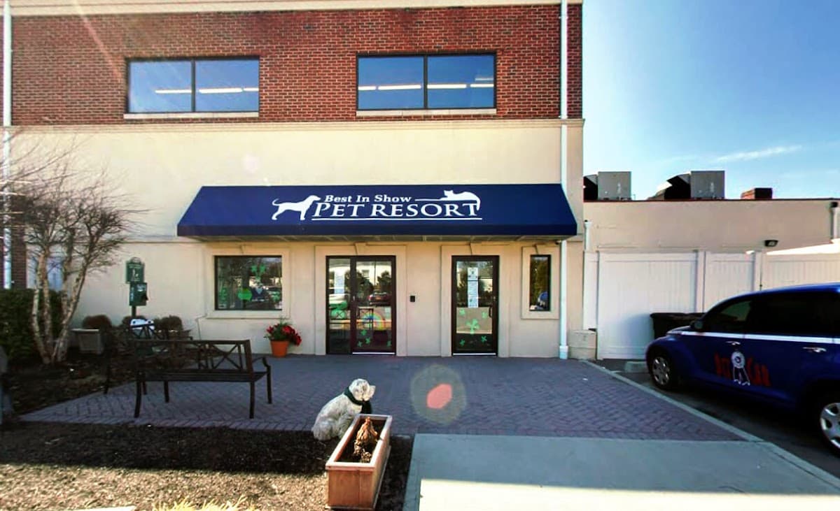 Best In Show Pet Resort, Resort in Garden City Park