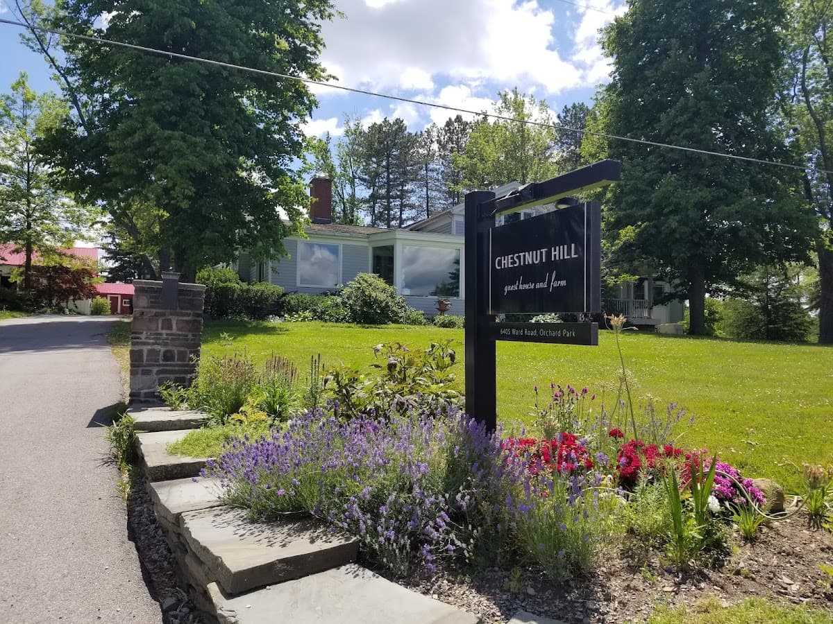 Chestnut Hill Guest House, Hotel in North Boston