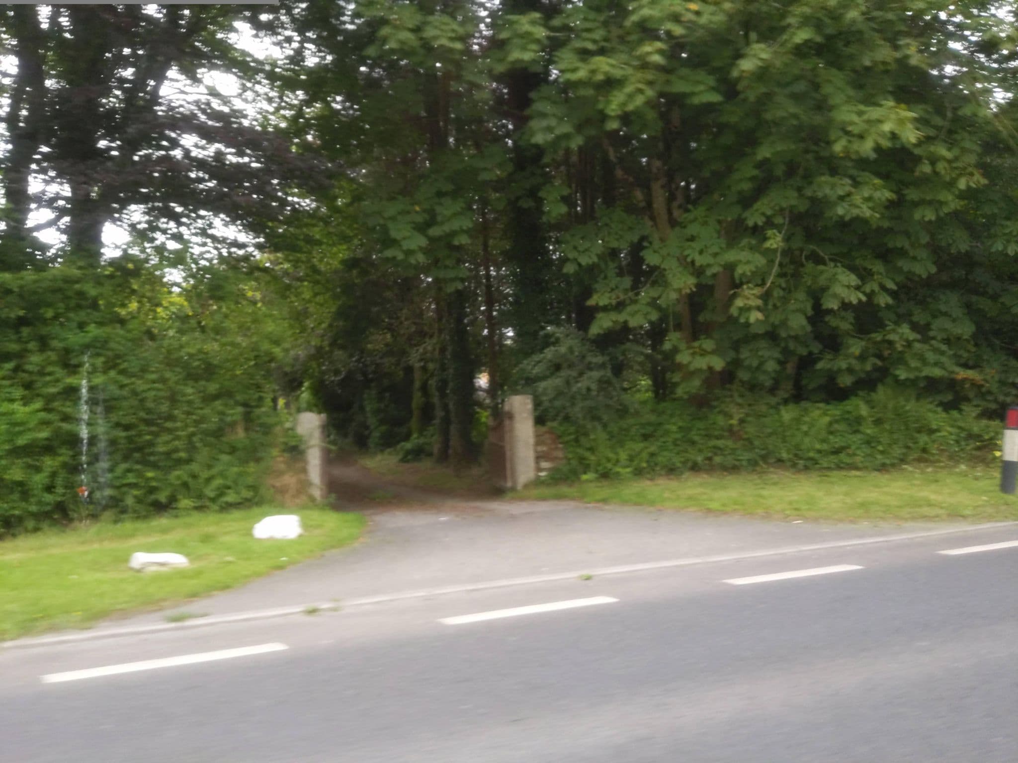 Street view near Glynn View, Bodmin — © WaggyDog (CC BY-SA · Mapillary)