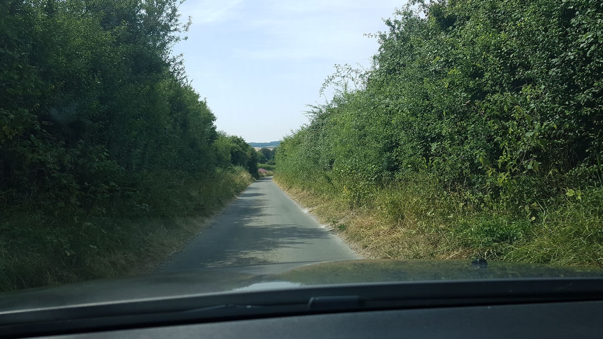 Street view near Sheepdrove Organic Shorthorns, Lambourn — © themadcabbie (CC BY-SA · Mapillary)