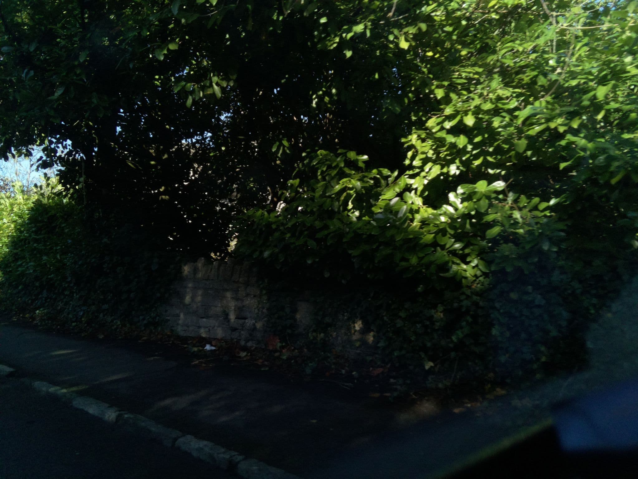 Street view near The Frog self catering apartment Langport, Langport — © southglos (CC BY-SA · Mapillary)
