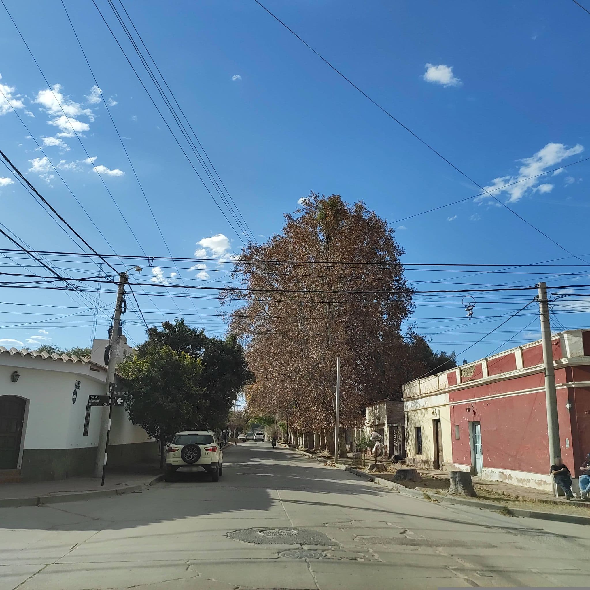 Street view near San Gorge, Cafayate — © diegokrein (CC BY-SA · Mapillary)