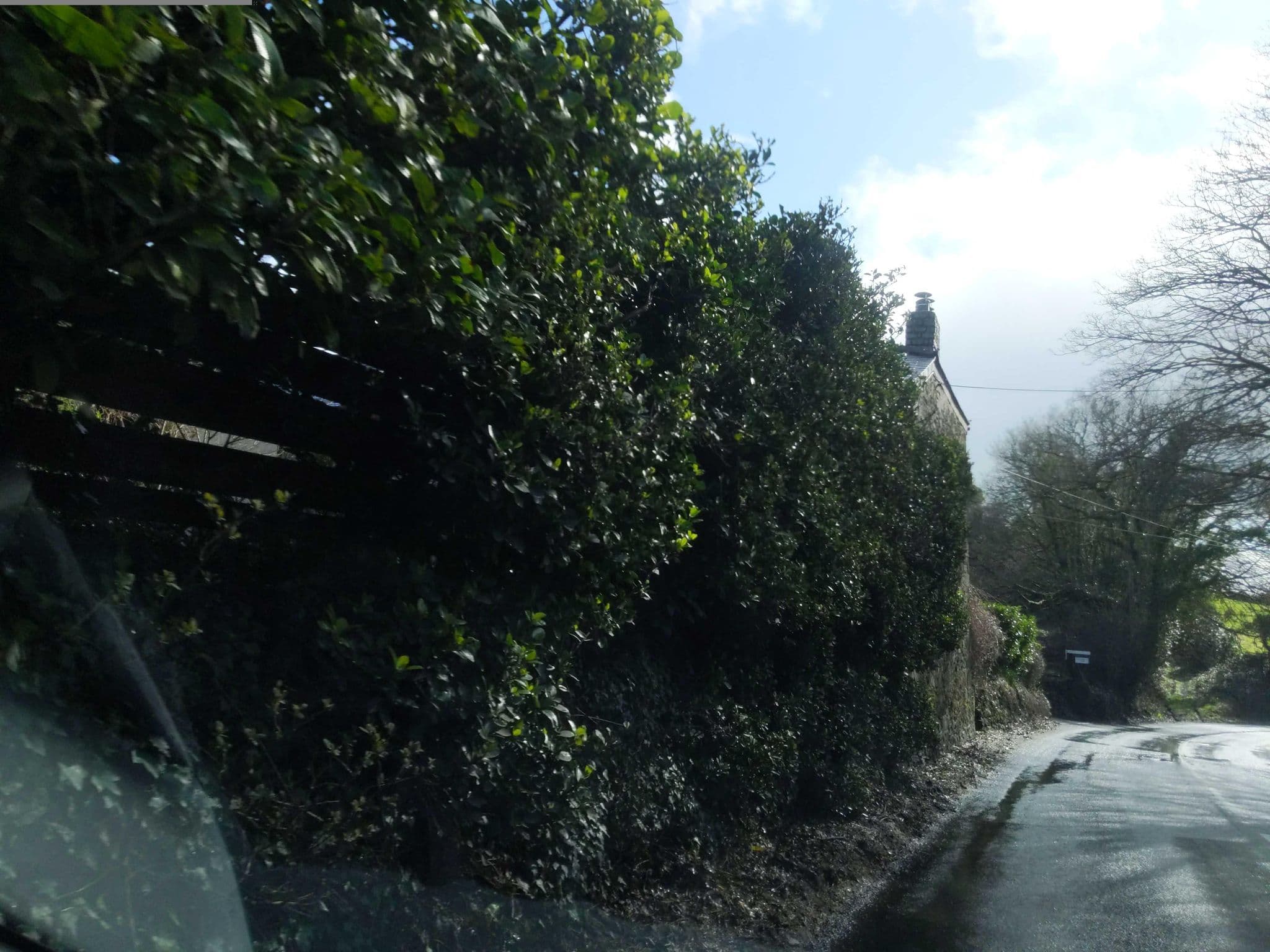 Street view near Providence Farm B & B, Bugle — © WaggyDog (CC BY-SA · Mapillary)