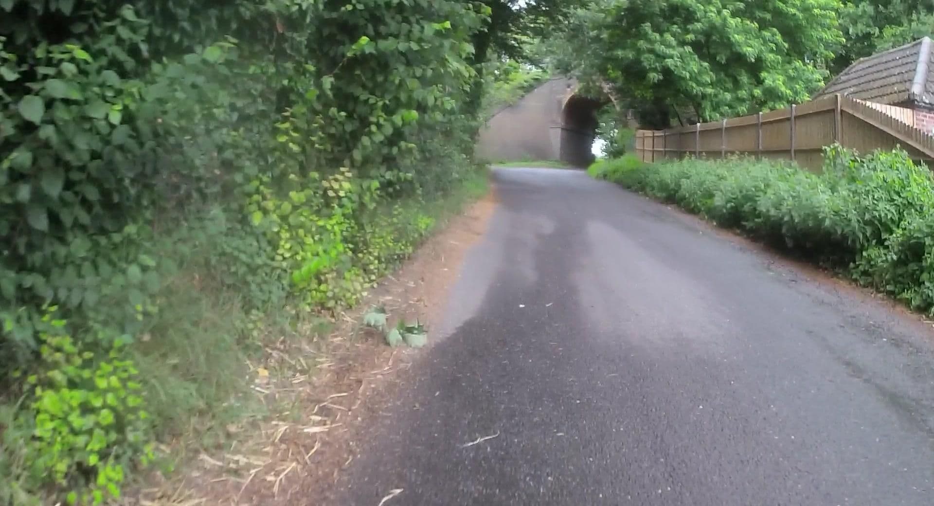 Street view near Beech Arms Hotel, Overton — © jpennycook (CC BY-SA · Mapillary)