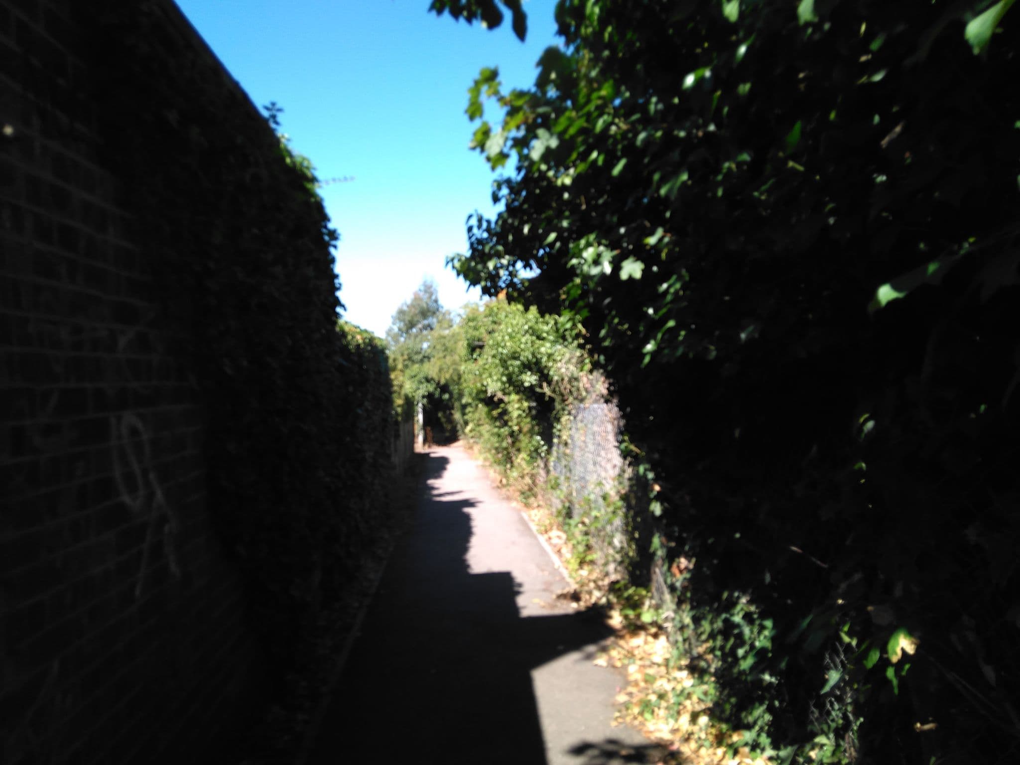 Street view near Shapeless Lodge, Whitstable — © gregorywilliams (CC BY-SA · Mapillary)