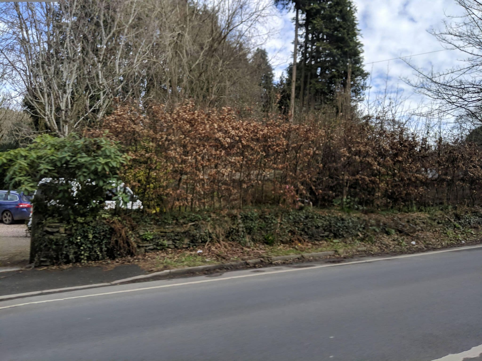 Street view near X b&b, Horrabridge — © WaggyDog (CC BY-SA · Mapillary)