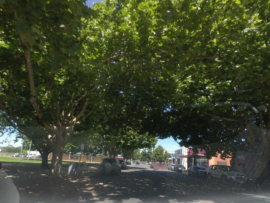 Street view near The Royal Hotel, Bacchus Marsh — © mander (CC BY-SA · Mapillary)