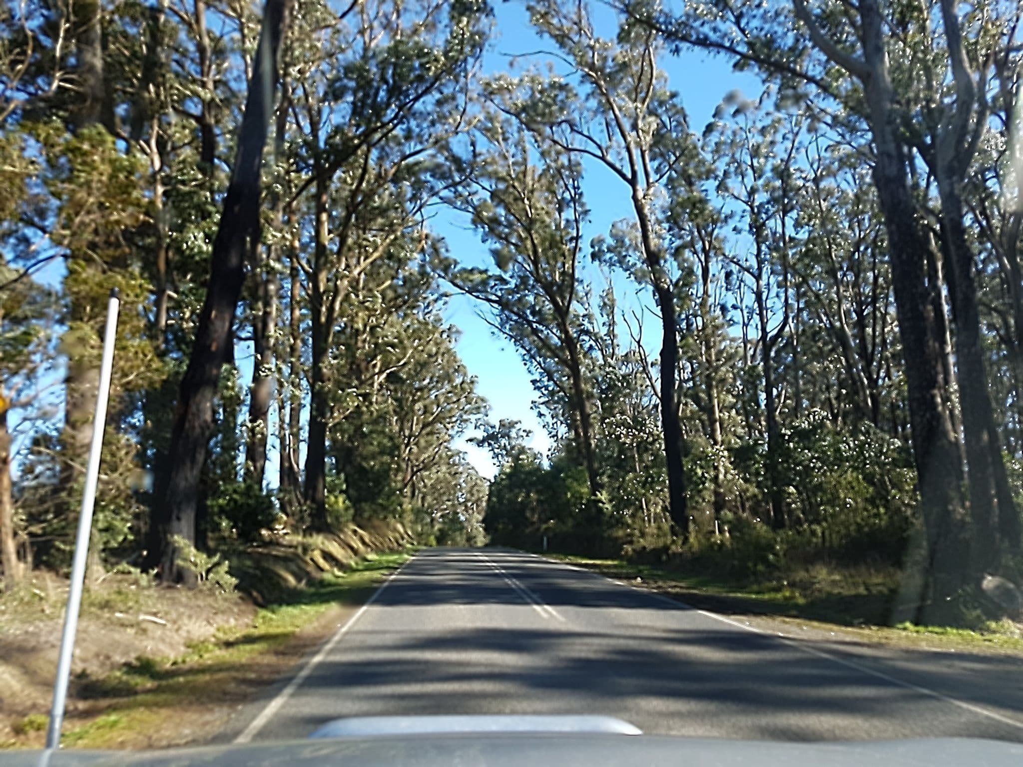 Street view near Paradiso Kinglake, Kinglake — © stev391 (CC BY-SA · Mapillary)