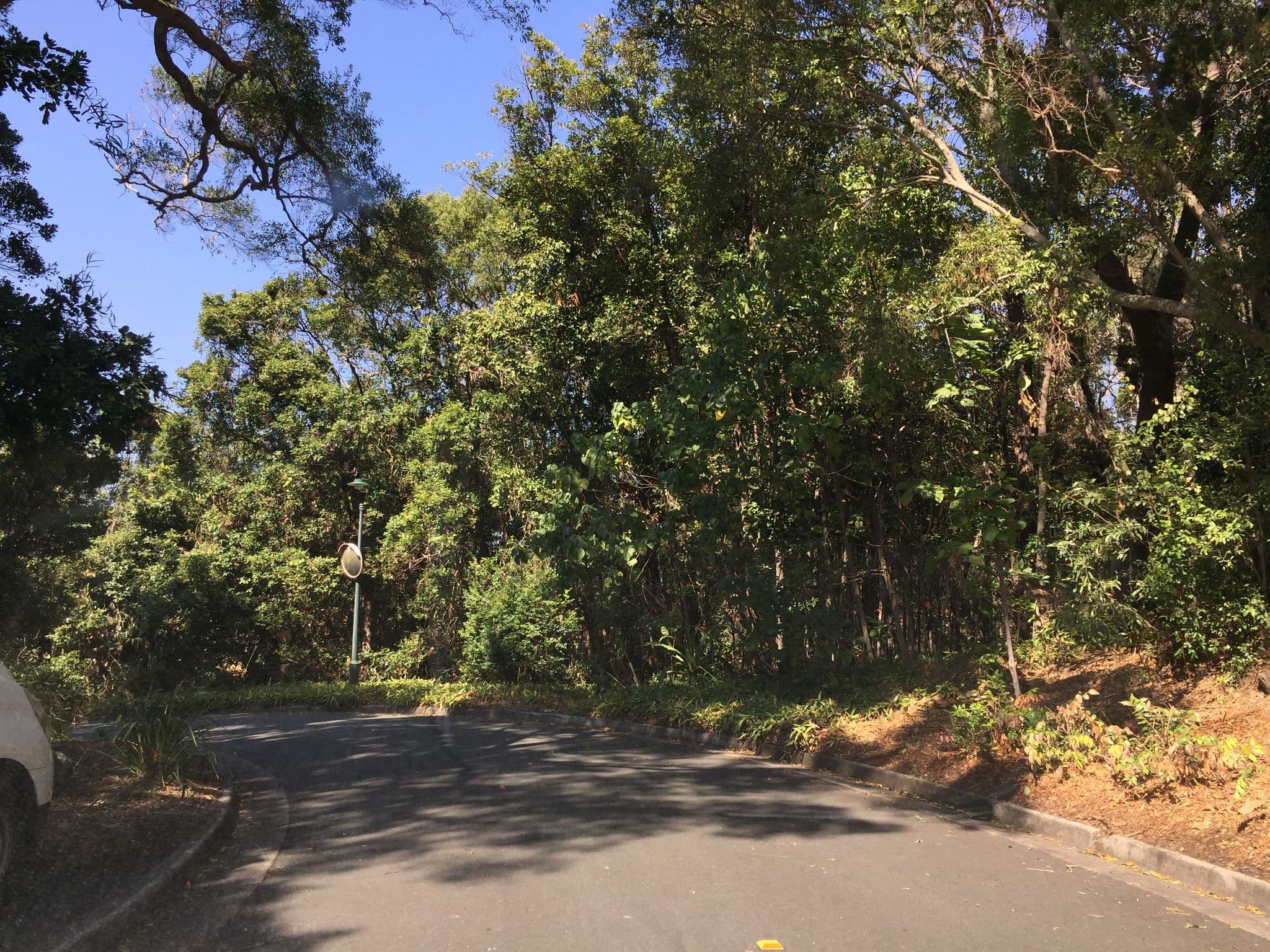 Street view near Papillon Villas Coolum Beach, Yaroomba — © vagrant42 (CC BY-SA · Mapillary)