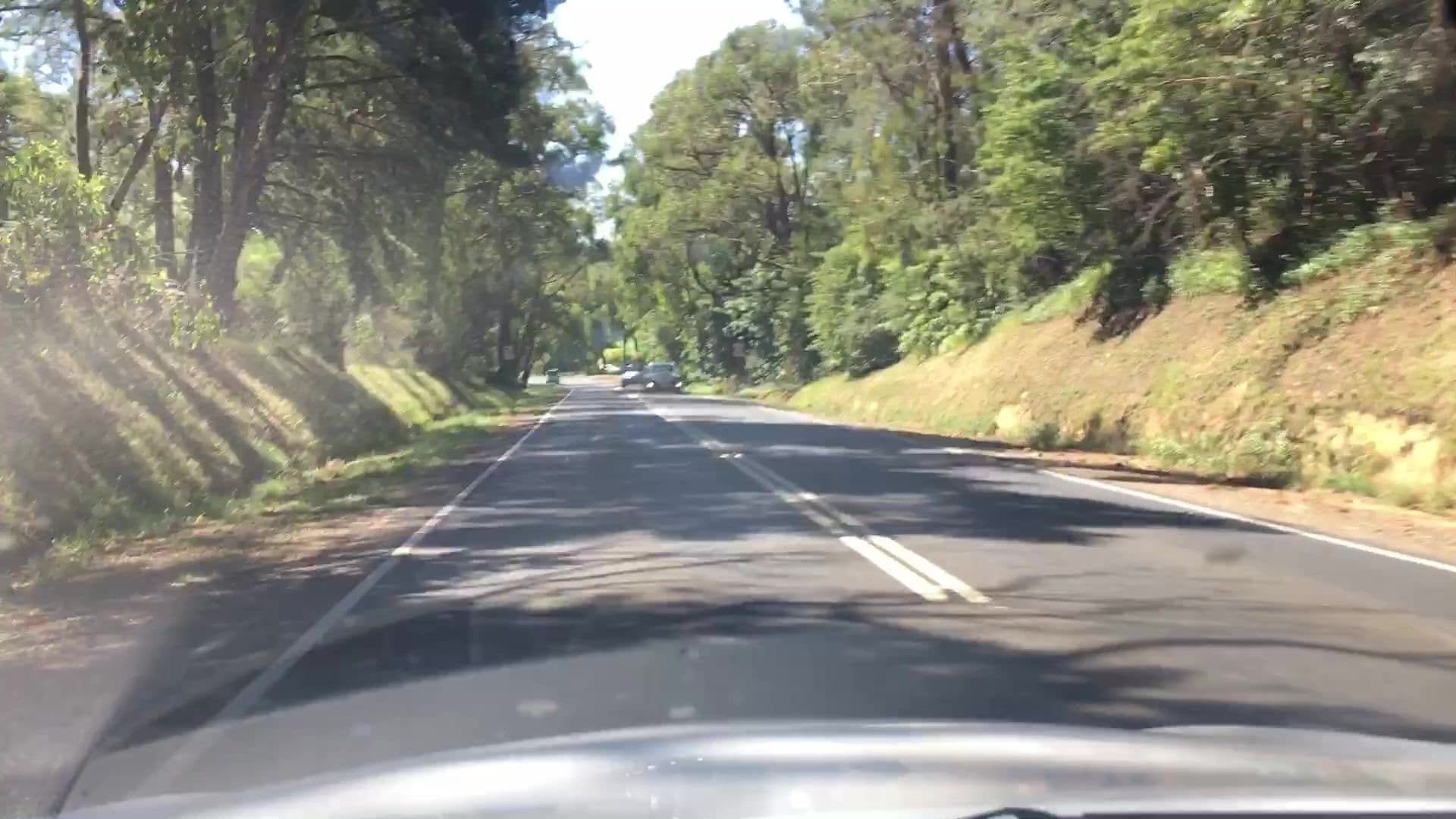 Street view near Holly Lodge Boarding Cattery, Silvan — © lvl5 (CC BY-SA · Mapillary)