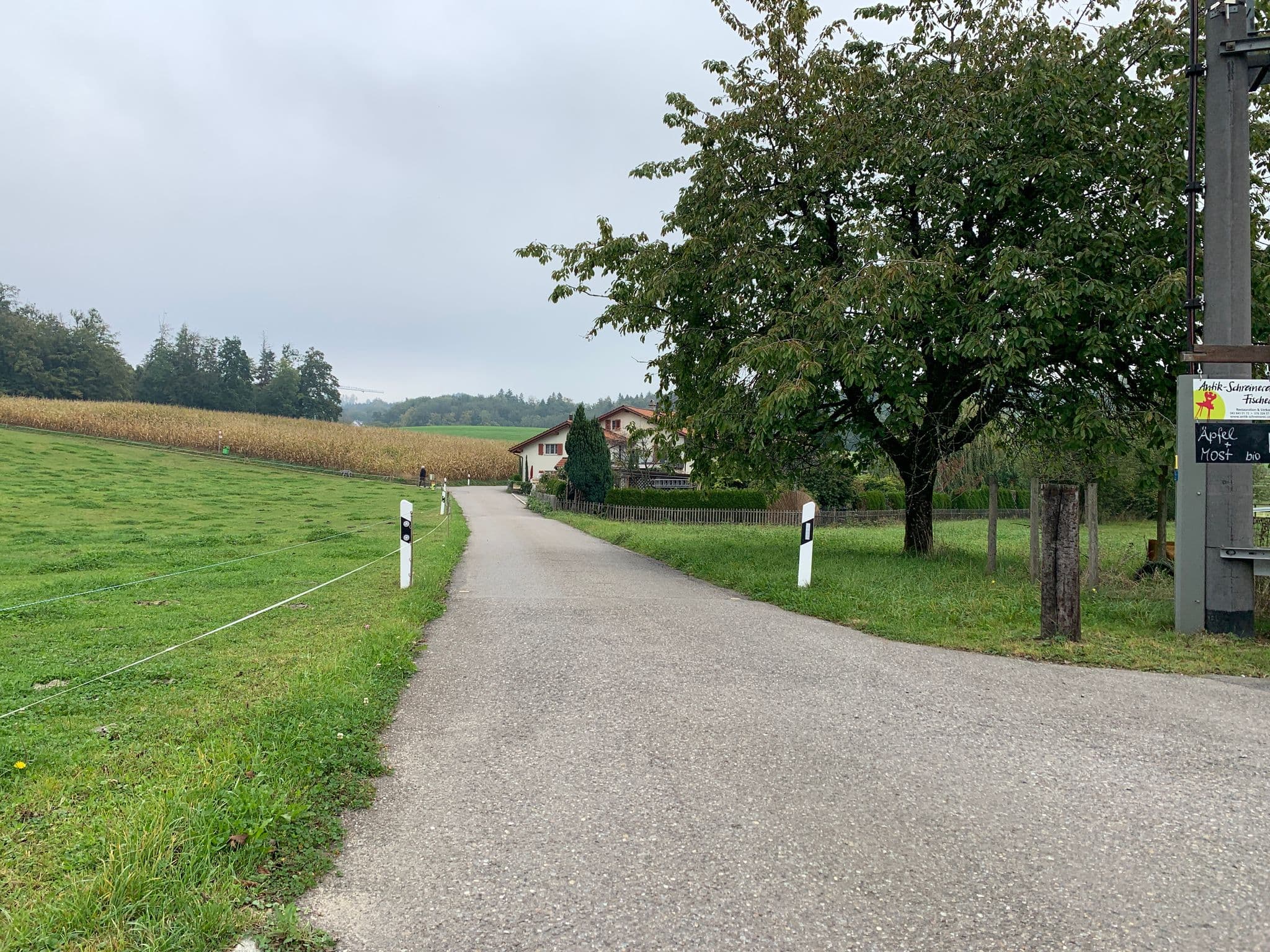 Street view near Breitacher, Hinwil — © svencito (CC BY-SA · Mapillary)