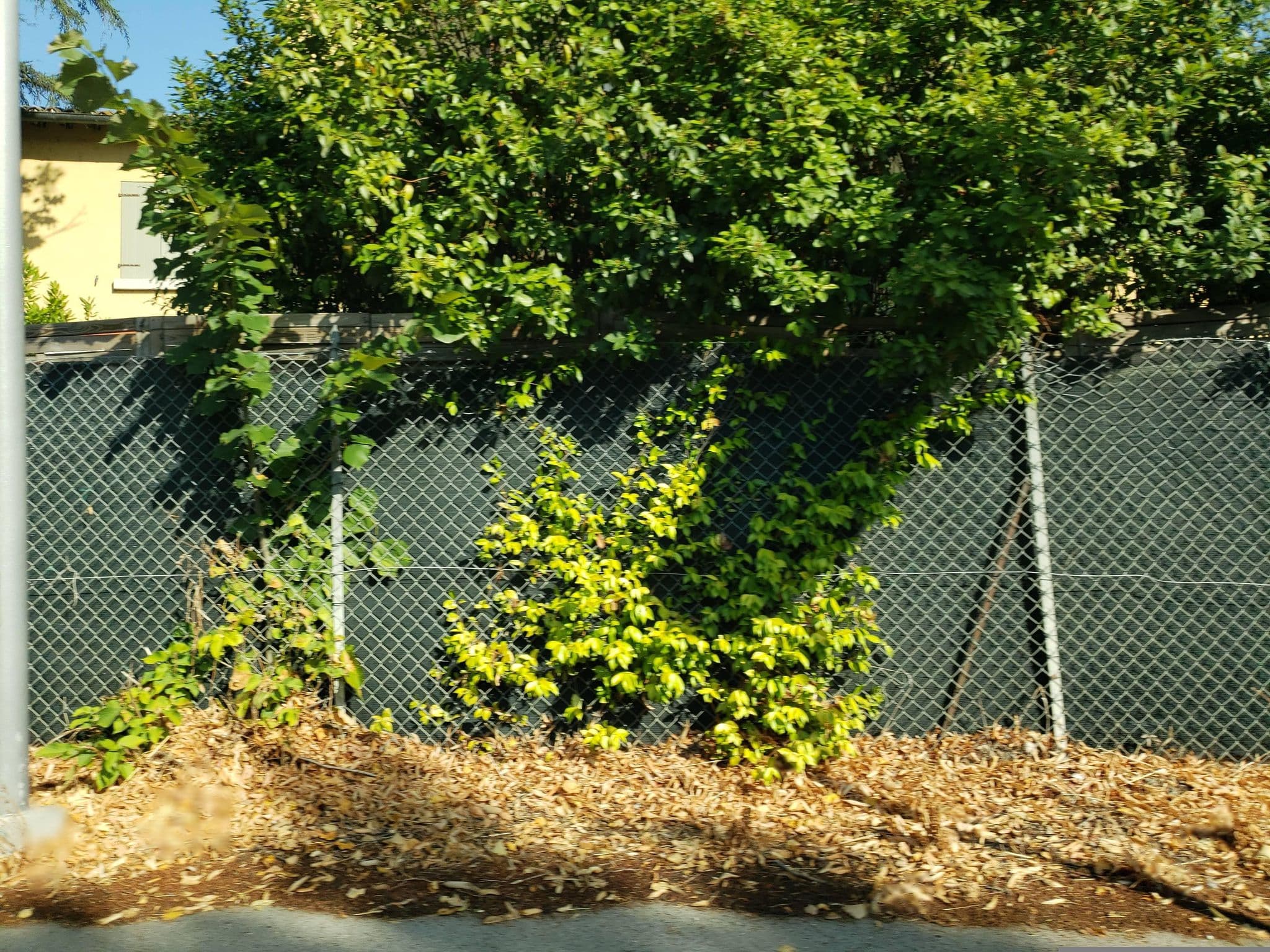 Street view near La Casa Di Nan 8 in Forli, Fiumana — © mapfool (CC BY-SA · Mapillary)