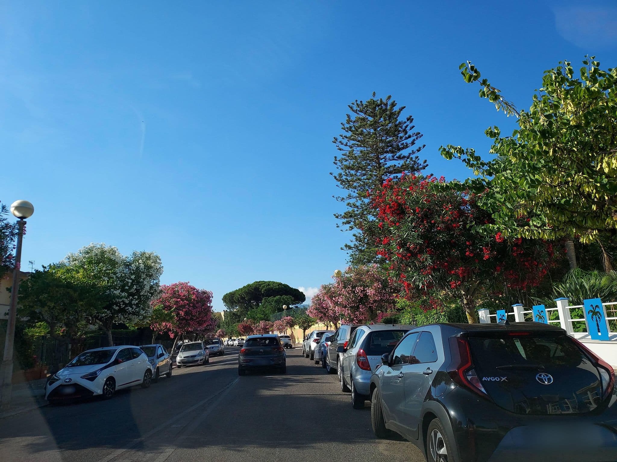 Street view near Hotel Le Palme, Sabaudia — © odiug (CC BY-SA · Mapillary)